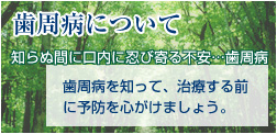 歯周病について